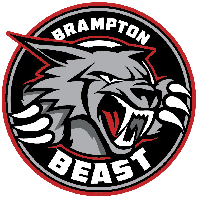 Brampton Beast 2019-Pres Primary Logo iron on transfers for clothing